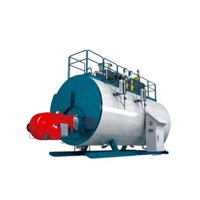 Methane Boiler