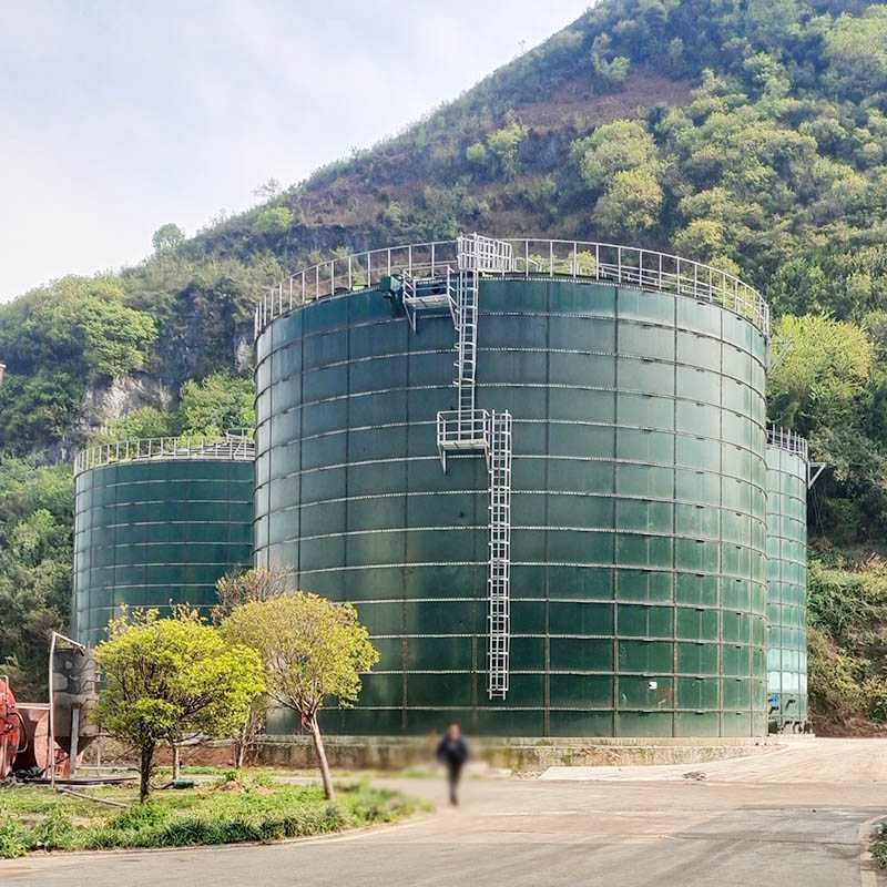 https://www.haiyue-biogas.com/data/thumb/res/en/20230710/d1e5624766710eb9.jpg_20230710150308_800x800.jpg